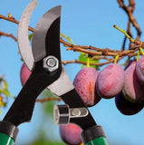 Cisaille de jardin manuelles pour tailler et couper les branches - Livraison offerte