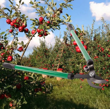 Cisaille de jardin manuelles pour tailler et couper les branches - Livraison offerte
