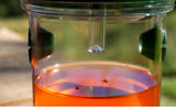 Piège Solaire à insectes - Livraison offerte
