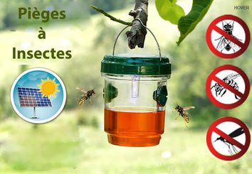 Piège Solaire à insectes - Livraison offerte
